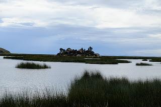 Perù: Puno e il lago Titicaca Perù: Puno e il lago Titicaca
