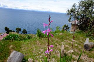 Perù: Puno e il lago Titicaca Perù: Puno e il lago Titicaca