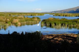 Perù: Puno e il lago Titicaca Perù: Puno e il lago Titicaca