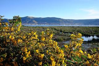 Perù: Puno e il lago Titicaca Perù: Puno e il lago Titicaca