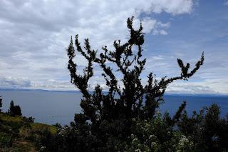 Perù: Puno e il lago Titicaca Perù: Puno e il lago Titicaca