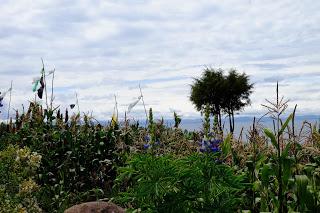 Perù: Puno e il lago Titicaca Perù: Puno e il lago Titicaca