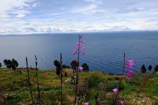 Perù: Puno e il lago Titicaca Perù: Puno e il lago Titicaca