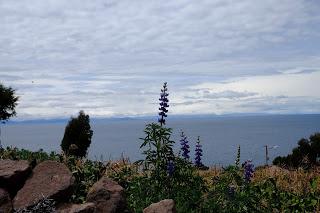 Perù: Puno e il lago Titicaca Perù: Puno e il lago Titicaca