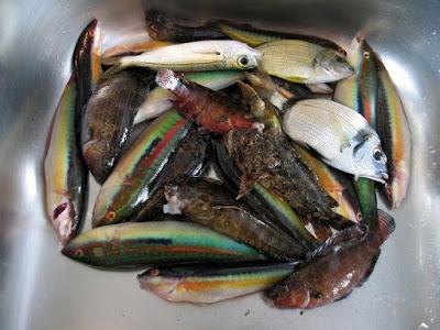 ZUPPA DI PESCE ALLA BARESE (CIAMBOTTO) ZUPPA DI PESCE ALLA BARESE (CIAMBOTTO)