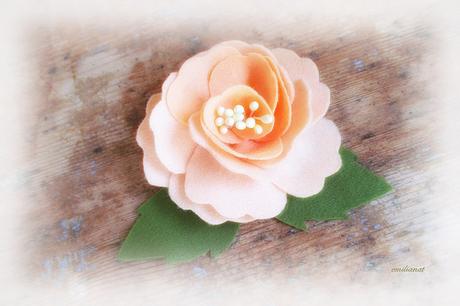 Ho fatto rose................ 3