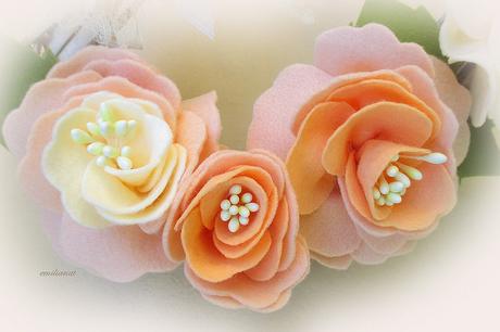 Ho fatto rose................ 2