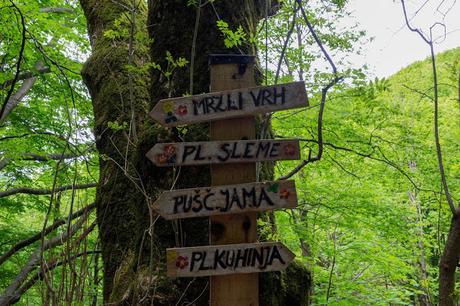 Mrzli Vrh Mrzli Vrh