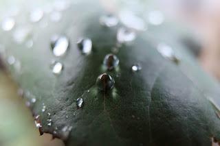 Piove sul bagnato... Piove sul bagnato...