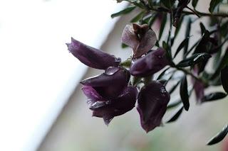 Piove sul bagnato... Piove sul bagnato...