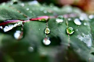 Piove sul bagnato... Piove sul bagnato...