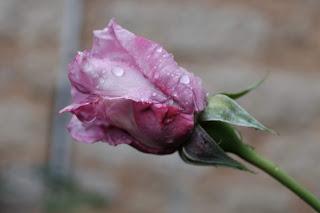 Piove sul bagnato... Piove sul bagnato...