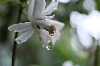 Piove sul bagnato... Piove sul bagnato...