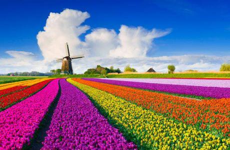 la primavera-estate (lo spinger) del downshifter/declutterer compulsivo - ovvero come godere della stagione della rinascita la primavera-estate (lo spinger) del downshifter/declutterer compulsivo - ovvero come godere della stagione della rinascita