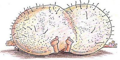 Non credete allo SPREAD? Non credete allo SPREAD?