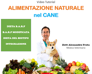 LA DIETA BARF MODIFICATA IN BASE AL BIOTIPO NEL CANE LA DIETA BARF MODIFICATA IN BASE AL BIOTIPO NEL CANE