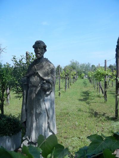 Bucolica Torcello Bucolica Torcello