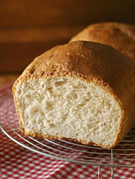 Filone semplice al latte – Simple milk loaf Filone semplice al latte – Simple milk loaf