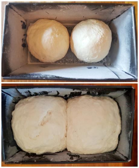Filone semplice al latte – Simple milk loaf Filone semplice al latte – Simple milk loaf