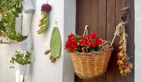 Viaggio nella bellezza....Locorotondo e le cartellate Viaggio nella bellezza....Locorotondo e le cartellate