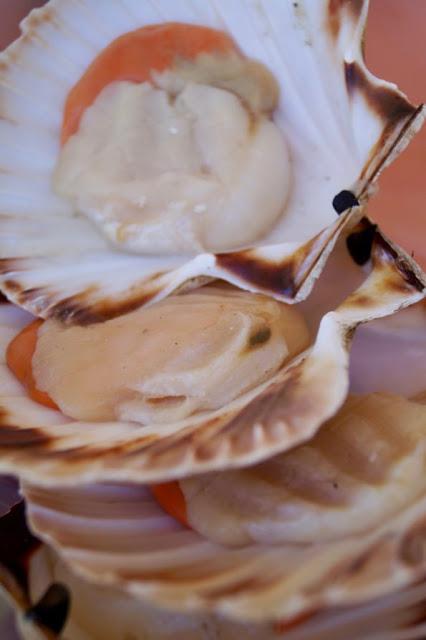 Una ricca calamarata Una ricca calamarata