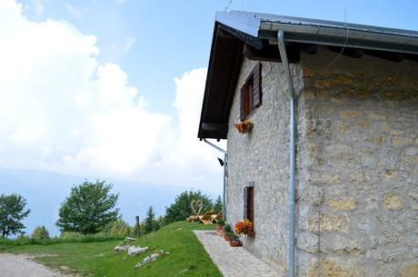 malga campo luserna malga campo luserna