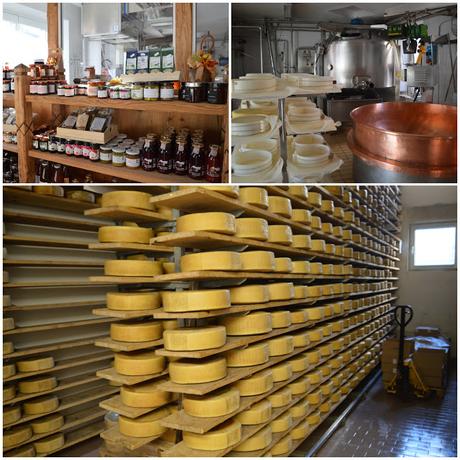 formaggio vezzena formaggio vezzena