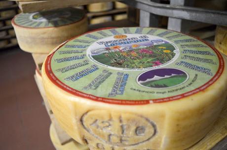 formaggio vezzena formaggio vezzena