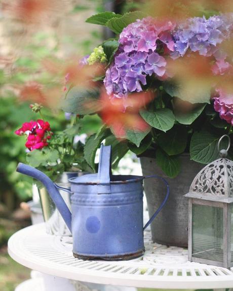 Un favoloso Bed and Breakfast di Charme nella regione dell’Aube in Francia Un favoloso Bed and Breakfast di Charme nella regione dell’Aube in Francia