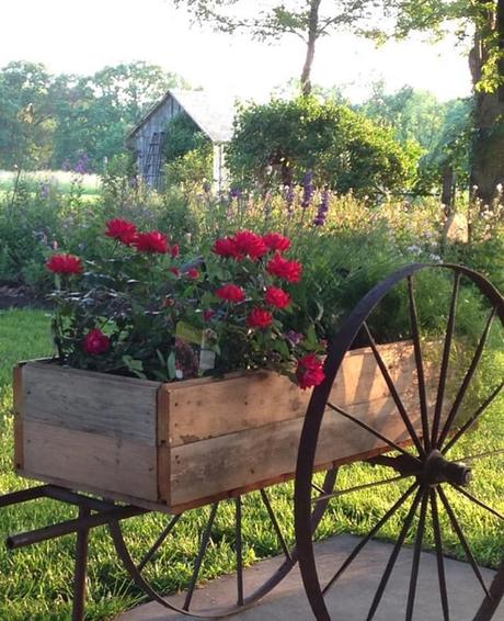 In America un bel cottage stile farmhouse L'immagine può contenere: pianta, fiore, albero, spazio all'aperto e natura