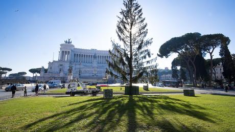 Come fare un albero di Natale perfino peggiore di Spelacchio? Ci stanno riuscendo Come fare un albero di Natale perfino peggiore di Spelacchio? Ci stanno riuscendo