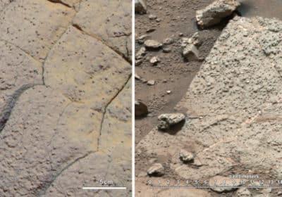 Secondo uno studio la Nasa avrebbe distrutto le prove della vita su Marte Secondo uno studio la Nasa avrebbe distrutto le prove della vita su Marte
