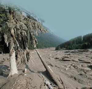La settimana della strage di via d’Amelio per Archivi di Storia La settimana della strage di via d’Amelio per Archivi di Storia