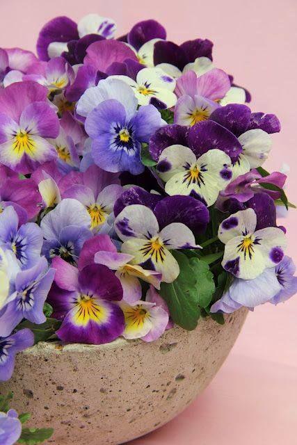 COLOR TREND: LILAC SHADES FOR SUMMER COLOR TREND: LILAC SHADES FOR SUMMER