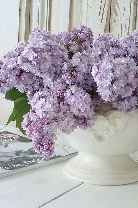 COLOR TREND: LILAC SHADES FOR SUMMER COLOR TREND: LILAC SHADES FOR SUMMER
