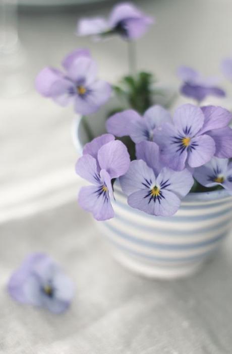 COLOR TREND: LILAC SHADES FOR SUMMER COLOR TREND: LILAC SHADES FOR SUMMER