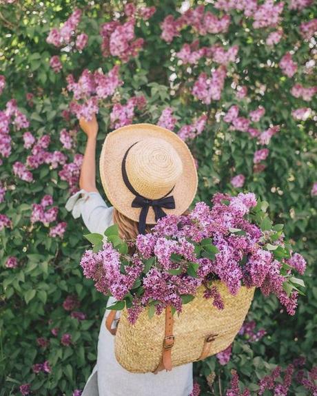 COLOR TREND: LILAC SHADES FOR SUMMER COLOR TREND: LILAC SHADES FOR SUMMER