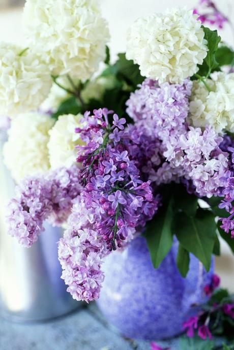 COLOR TREND: LILAC SHADES FOR SUMMER COLOR TREND: LILAC SHADES FOR SUMMER