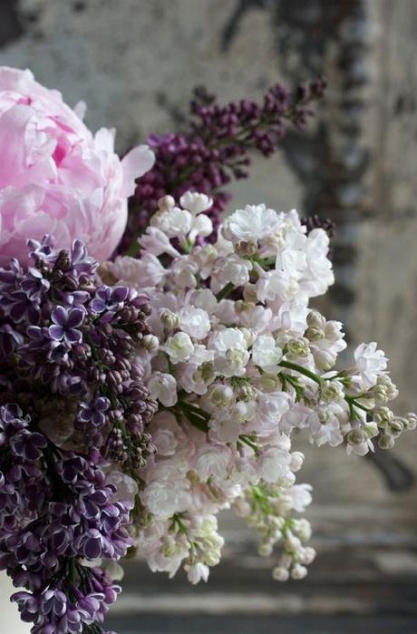 COLOR TREND: LILAC SHADES FOR SUMMER COLOR TREND: LILAC SHADES FOR SUMMER