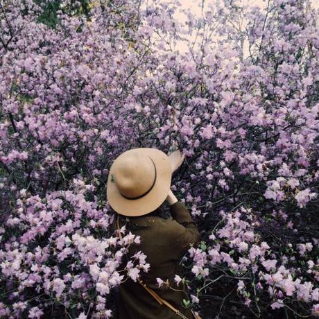 COLOR TREND: LILAC SHADES FOR SUMMER COLOR TREND: LILAC SHADES FOR SUMMER