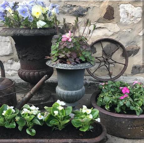 Uno strepitoso cottage inglese L'immagine può contenere: pianta e fiore