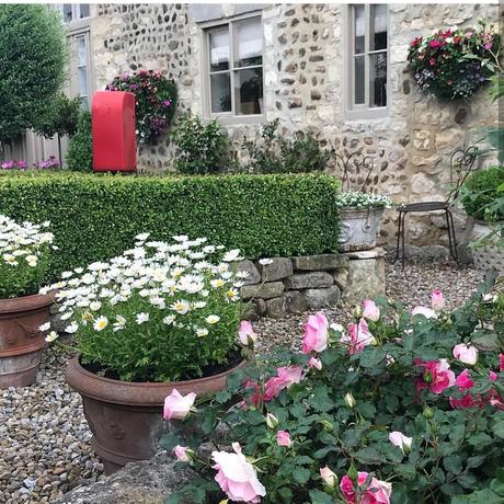 Uno strepitoso cottage inglese L'immagine può contenere: pianta, fiore e spazio all'aperto