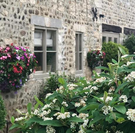 Uno strepitoso cottage inglese L'immagine può contenere: pianta, fiore, albero e spazio all'aperto