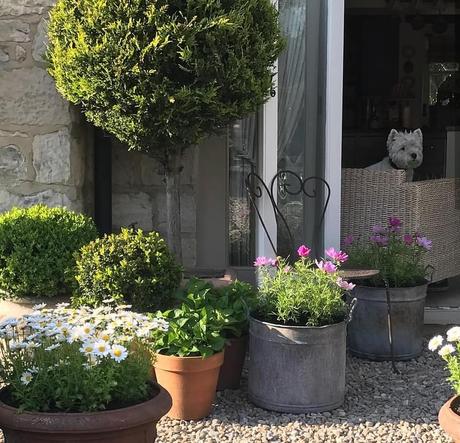 Uno strepitoso cottage inglese L'immagine può contenere: pianta