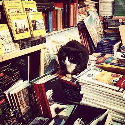 5 bellissime librerie in giro per il mondo 5 bellissime librerie in giro per il mondo