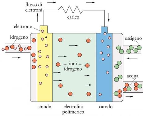 Funzionamento Fuel cell.jpg Funzionamento Fuel cell.jpg