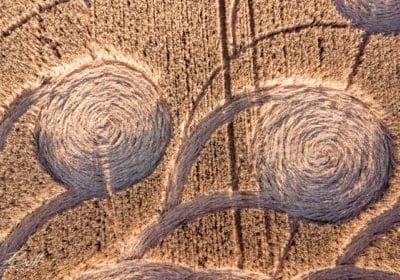 Nuovi Crop Circle 2018. Alcuni hanno un chiaro messaggio per l’umanità Nuovi Crop Circle 2018. Alcuni hanno un chiaro messaggio per l’umanità