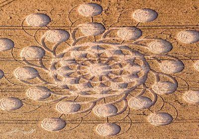 Nuovi Crop Circle 2018. Alcuni hanno un chiaro messaggio per l’umanità Nuovi Crop Circle 2018. Alcuni hanno un chiaro messaggio per l’umanità