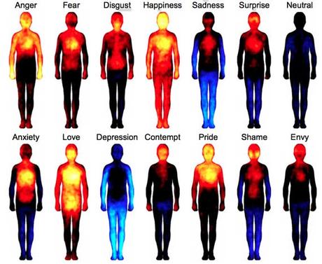 EFT, come le emozioni influenzano il nostro corpo EFT, come le emozioni influenzano il nostro corpo