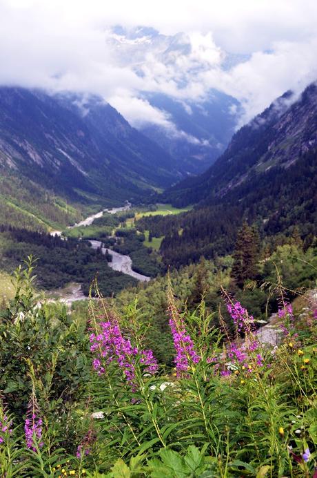 trekking austria tirolo berliner hoehenweg zillertal trekking austria tirolo berliner hoehenweg zillertal